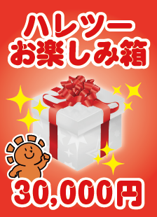 ハレツーお楽しみ箱 3万円ver. – 晴れる屋2